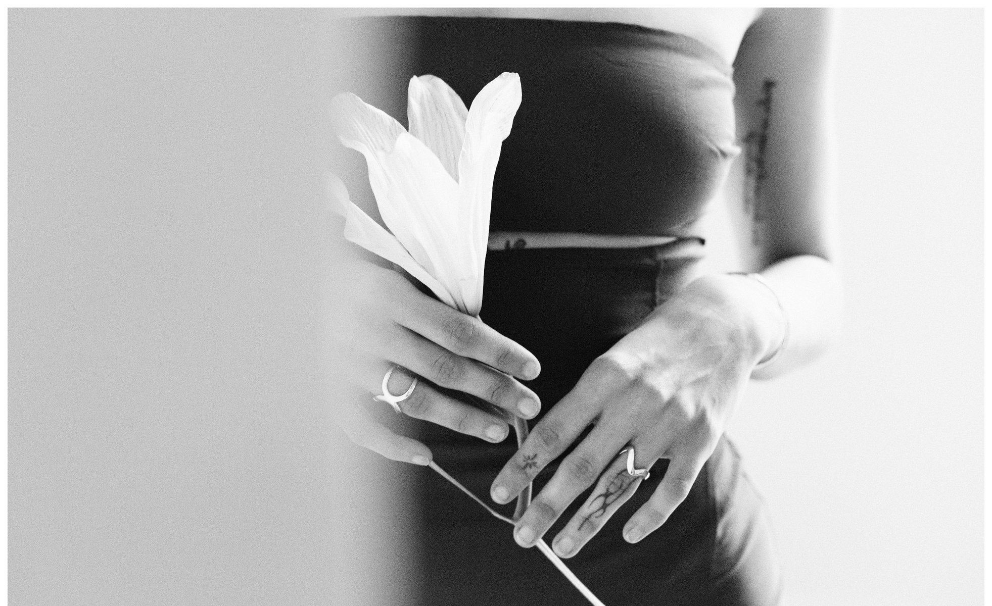 Hands holding a white lily, wearing Torus rings